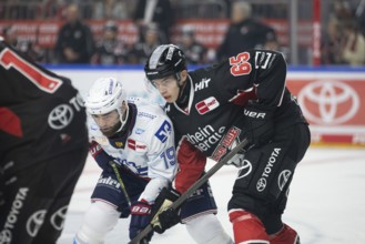 LanxessArena, Cologne, North Rhine-Westphalia, +kh65+, hatch Esposito (Adler Mannheim, #19), PENNY