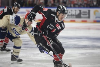 LanxessArena, Cologne, North Rhine-Westphalia, Justin Schütz (Cologne Sharks, #10), PENNY DEL,