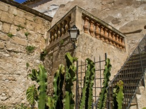 Stone staircase and lantern on an old stone wall, surrounded by green plants and cacti, palma de