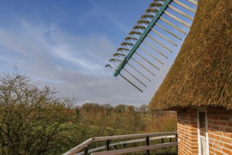 Windmill wing shot with surrounding nature, thatched roof and bright sky, burlage, east frisia,