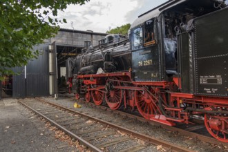 Steam locomotive on rails in front of a maintenance hall with autumn leaves on the ground, Bochum,