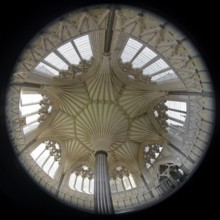 Fisheye 360, interior view, Chapter House, Wells Cathedral, Wells, England, Great Britain