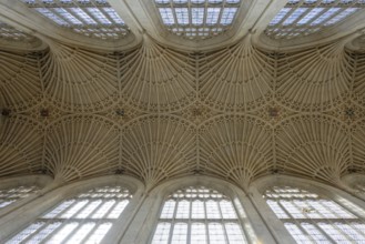 Interior view, ceiling, Bath Abbey, Bath, England, Great Britain
