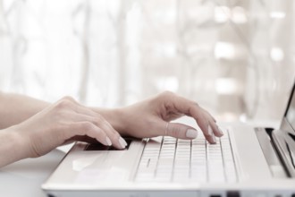 Close up of female hands using modern computer, high key. Blogger concept