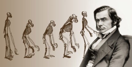 Portrait of Thomas Henry Huxley, 1825 – 1895, English biologist and anthropologist, specialized in