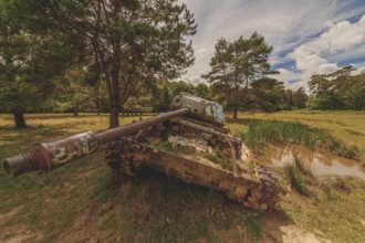 Abandoned tank in a meadow under a cloudy sky, surrounded by trees and grass, sprayed with