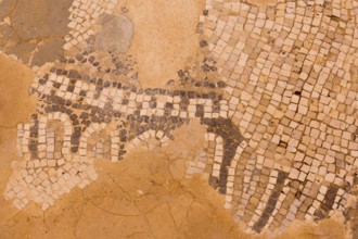 Ancient mosaic of Jerash Gerasa, Jordan historic site