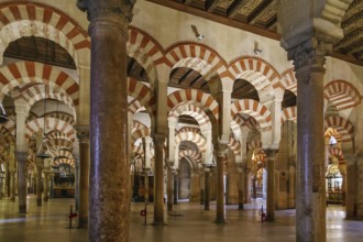 Mosque Cathedral of Cordoba also known as the Great Mosque of Cordoba is regarded as one of the