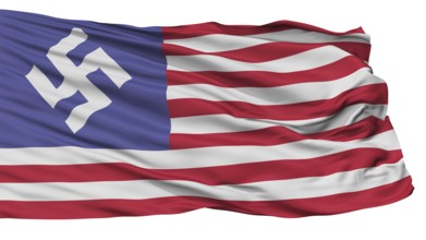 Man In High Castle Flag, Isolated On White Background