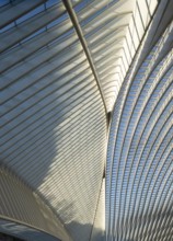 Liège, Liège-Guillemins railway station, design 2009 Santiago Calatrava, station concourse
