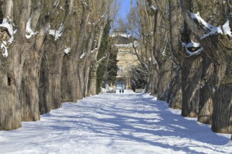 Snow-covered palace garden of Hohenheim Palace, University of Hohenheim, Stuttgart,