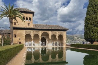 Partal Palace with pool in Alhambra garden, Granada, Spain, Europe