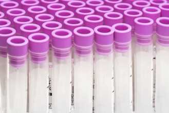 Covid-19 outbreak blood test. Close up view of empty test tubes for blood samples of Coronavirus