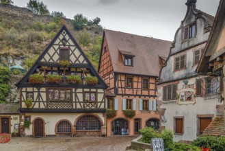 Street with historical half-timbered houses in Kaysersberg, Alsace, France, Europe