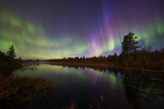 Northern Lights (Aurora borealis) over a lake, Norrbotten, Lapland, Sweden, September 2014, Europe