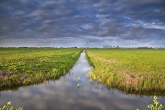 Canal in Dutch farmland with reflected sky, Holland