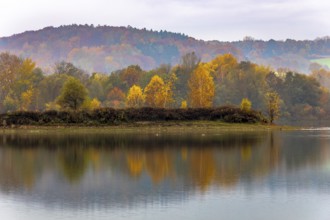 Colourful trees in the morning mist at a small lake in Bavaria in autumn