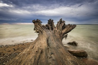 The Baltic Sea coast on the island of Rügen