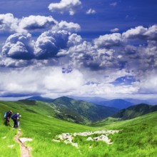 Panoramic view of Carpathians - summer meadow in mountains