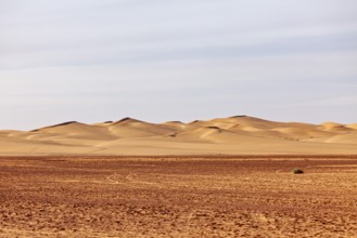 Vast desert landscape with gentle sand dunes under a bright sky, The sand dunes of the Sahara in