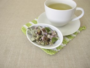 Tea made from dried blackberry leaves and blackberry blossoms