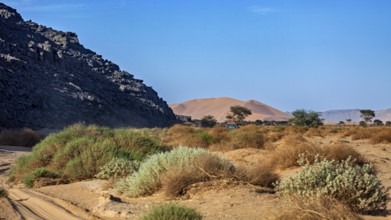 Rough desert landscape with dunes in the background and scattered vegetation, The landscape of the
