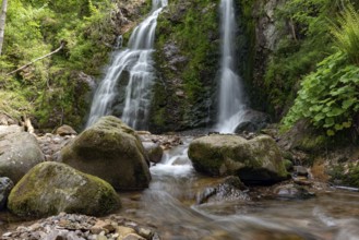 Cascade falls over mossy rocks in the vosge mountains. Alsace, France, Europe