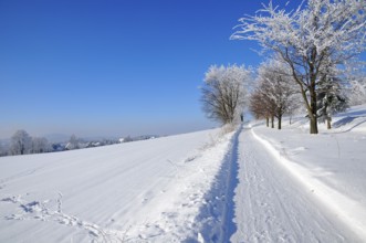 Winter day in the upper lusatia