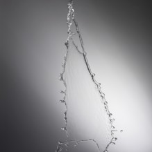 Water drop splash with grey background