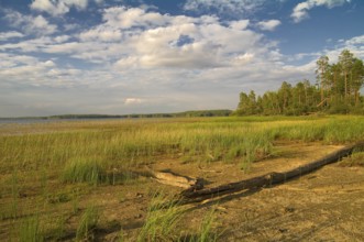 Russia, Karelia, the Chirka-Kem river.Bottom of the lake, uncovered because of the falling water