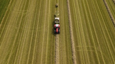 Tractor with a straw baler in a field
