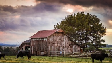 An old barn, landscape, Color Image, USA, North America