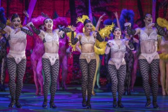 La Cage Aux Folles (A Cage Full of Fools)