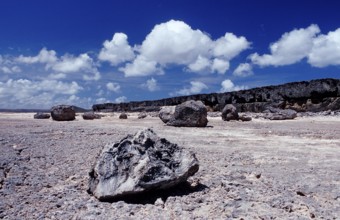 Desert landscape, Netherlands Antilles, Bonaire, Washington Slagbaai National Park, Supladó