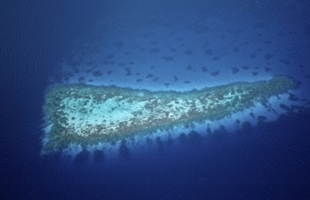 Aerial View of Coral Reefs at Maldives, Aerial View of Coral Reefs at Maldives, land photography,