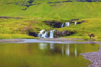 Mountains and waterfalls. Cloudy day in Iceland. Cascade Falls on the green grassy hill