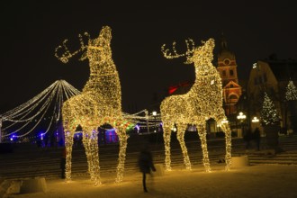 Reindeer of illumination (Stockholm, Sweden). Shooting Location: Sweden, Stockholm