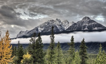 Scenic View Rocky mountains Alberta Canada Jasper Highway