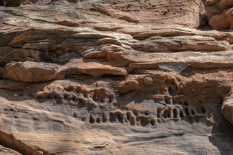 Detail of the Geiersteinfelsen, Geierstein, sandstone, Palatinate Forest, Bruchweiler-Bärenbach,