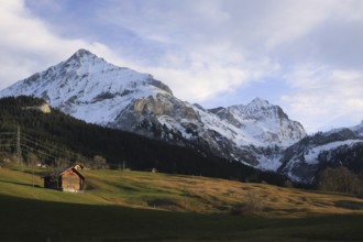 Green meadow and snow covered mountains Spitzhorn and Arpelistock