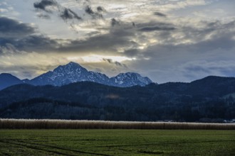 Fields in the foreground with mountains and cloudy sky at dusk, Ainring, Upper Bavaria