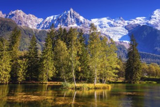 Early fall in Shamoni, Haute-Savoie. France. The snow-covered Alps and evergreen fir-trees are