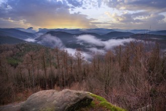 Landscape shot with cloudy sky and fog in the valley. View from a rock in the middle of forest and