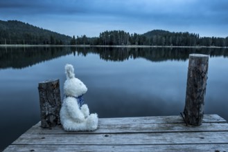 Fluffy toy bunny sitting on a pier. Shore of a mountain lake