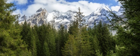Swiss Alps banner mountain view of alpine as snow-capped mount peaks and pine trees background,