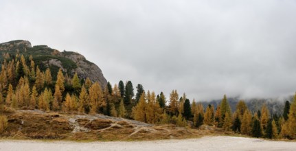 Autumn forest landscape at Passo Falzarego valley. Dolomite mountain range Italy. Fall season