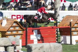 Pius Schwizer of Switzerland, riding Vancouver de Lanlore competes in the BMO Nations Cup during