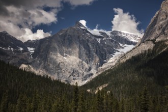 The Canadian Rocky Mountains as seen from inside Yoho National Park, in British Columbia, Canada,