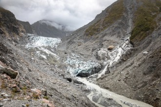 An image of the Franz Josef Glacier, New Zealand, Oceania