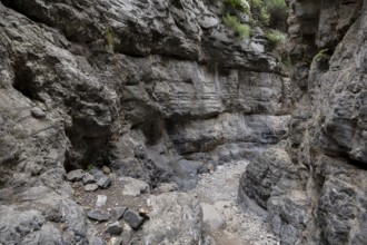 Imbros Gorge, Crete, Greece, 23 May 2025 < english> Imbros Gorge, Crete, Greece, May 23, 2025,
